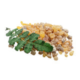 Extrait de Boswellia Serrata