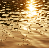 Vitamine D3