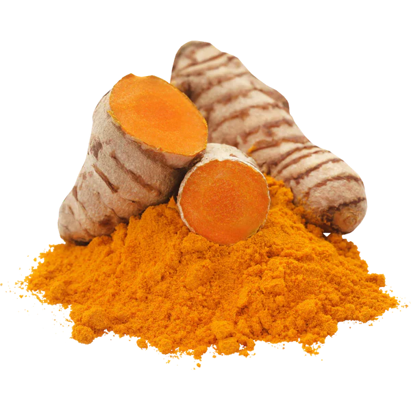 Action antioxydante 15 fois supérieure à celle du curcuma