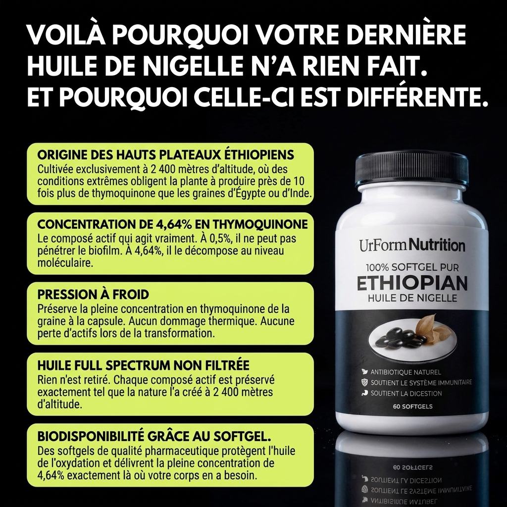 Graine de nigelle éthiopienne