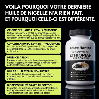 Graine de nigelle éthiopienne