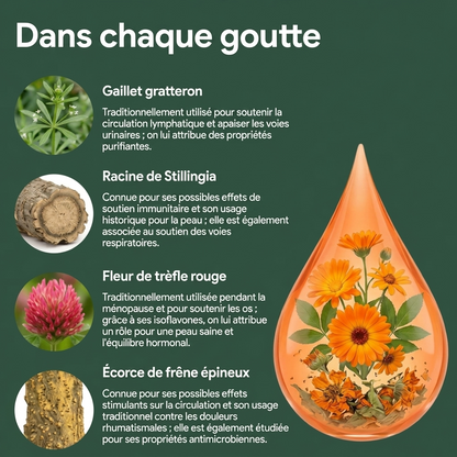 Gouttes de drainage lymphatique